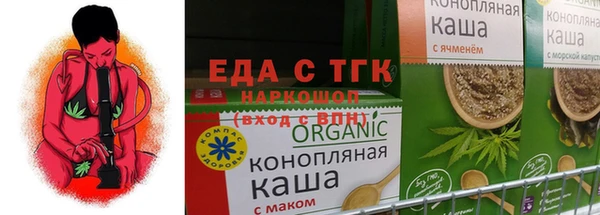 гидра Ельня