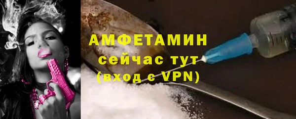 гидра Ельня